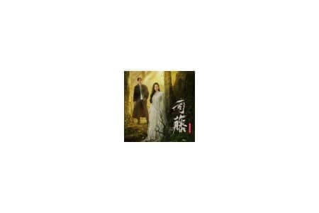 《司藤 影视原声带》摩登兄弟刘宇宁/景甜/棉子/张彬彬/董又霖/王笠人/小星星Aurora/赵登凯/杜星萤 网盘下载-六音
